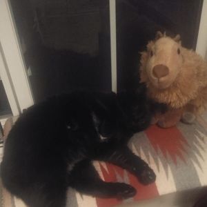 Meet your Posher, Esther